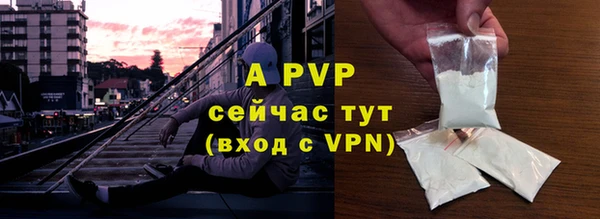 шишки Балахна