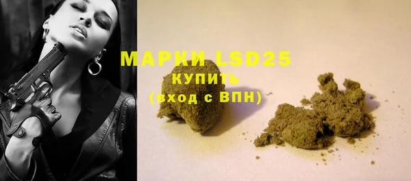 шишки Балахна