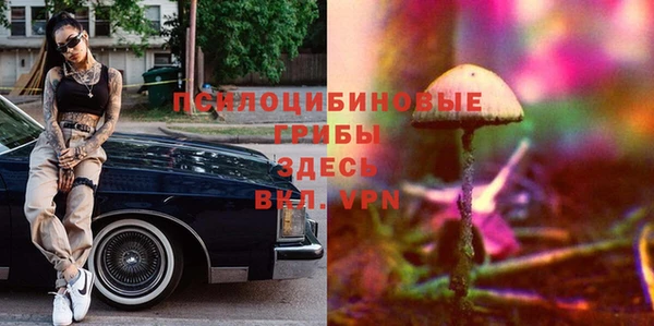 шишки Балахна