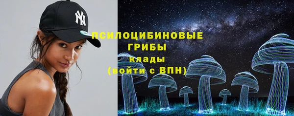 шишки Балахна