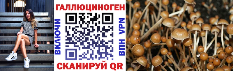 магазин продажи   Гатчина  мега зеркало  Галлюциногенные грибы мухоморы 