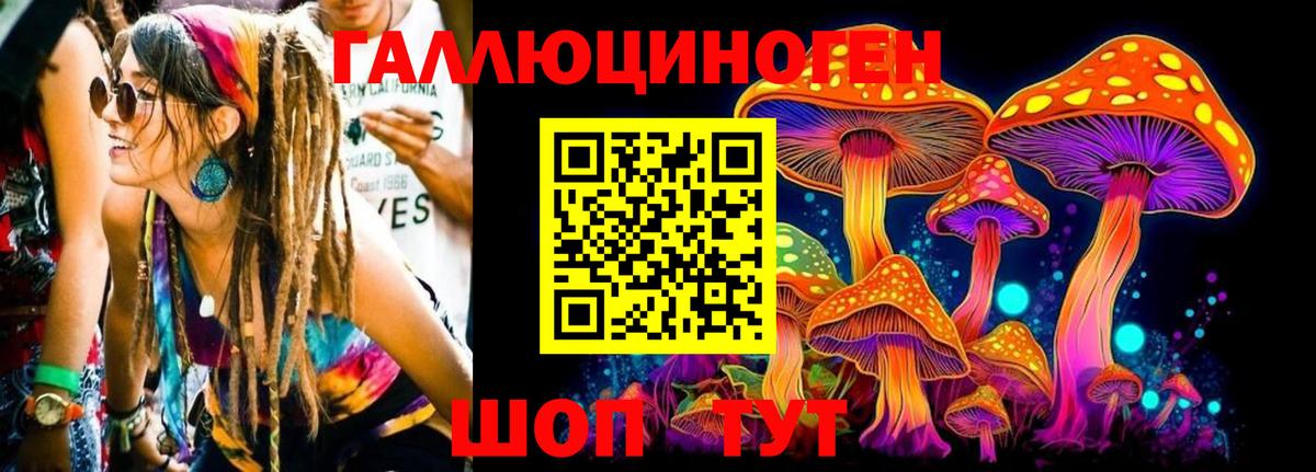 Галлюциногенные грибы прущие грибы Гатчина
