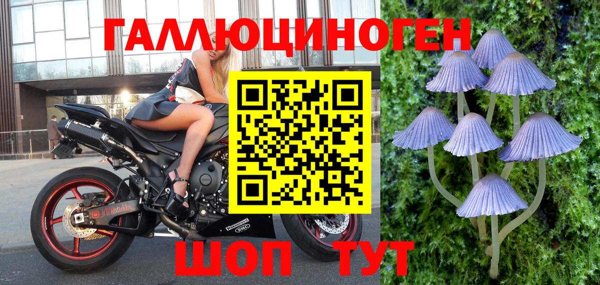 Галлюциногенные грибы Psilocybe  Вход с VPN  Галлюциногенные грибы GOLDEN TEACHER  Гатчина 