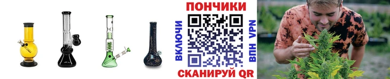 Бошки марихуана THC 21%  сколько стоит  ссылка на мегу сайт  Гатчина 